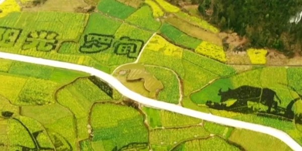 土地的涅槃｜全域土地綜合整治為何爆火？設計院如何搶占風口？